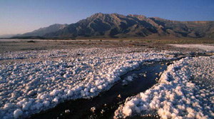 Vorderasien, Iran-Expeditionen - Salzfluss am Gebirgsrand